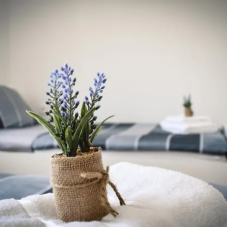 Olea - With Beautiful Sea View, Near The Sandy And Center Apartment *
